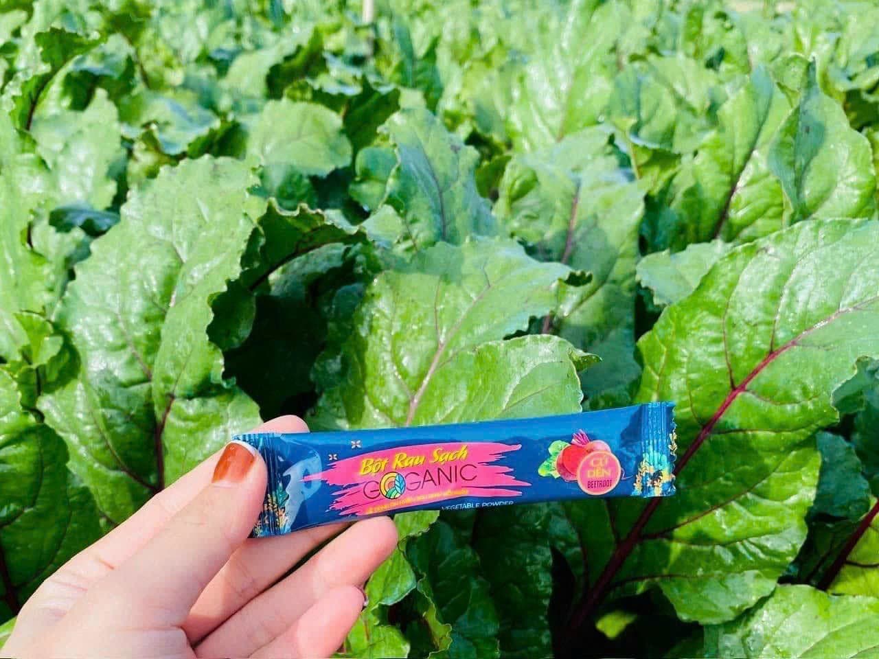 Bột rau sạch Goganic - 2